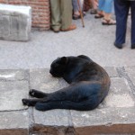 italy13