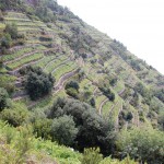 italy27