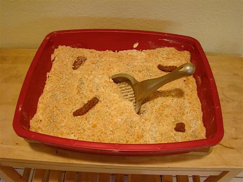 [Image: catlittercake.jpg]